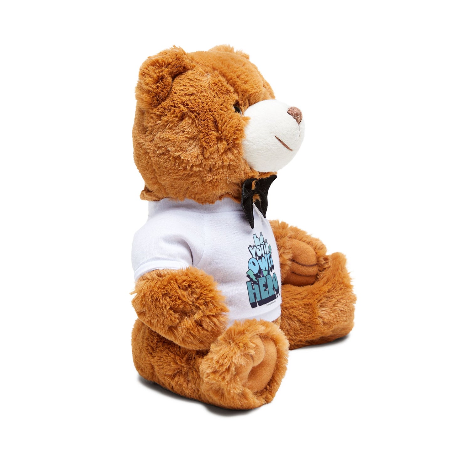 Be Your Own Hero Teddy Bear with T-Shirt