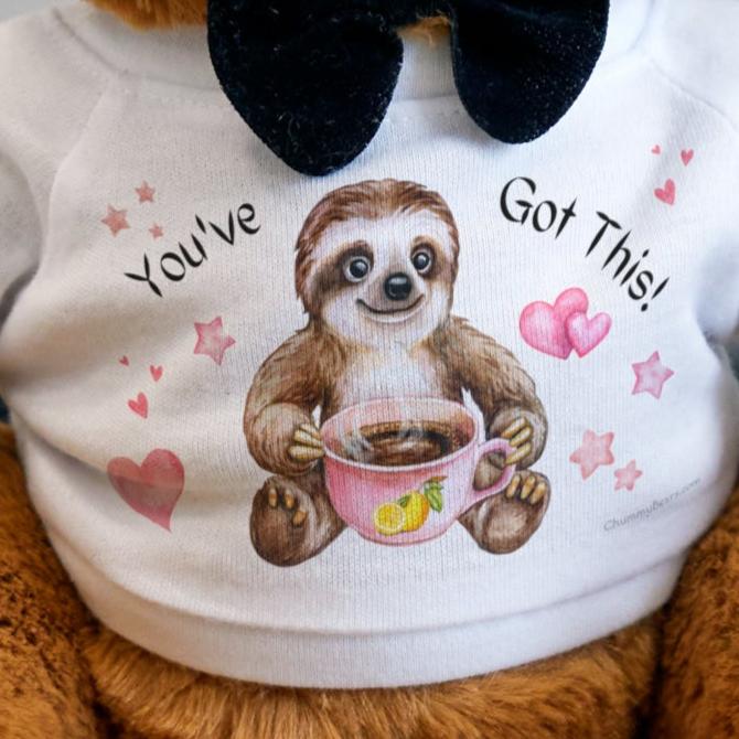 You've Got This! Sloth