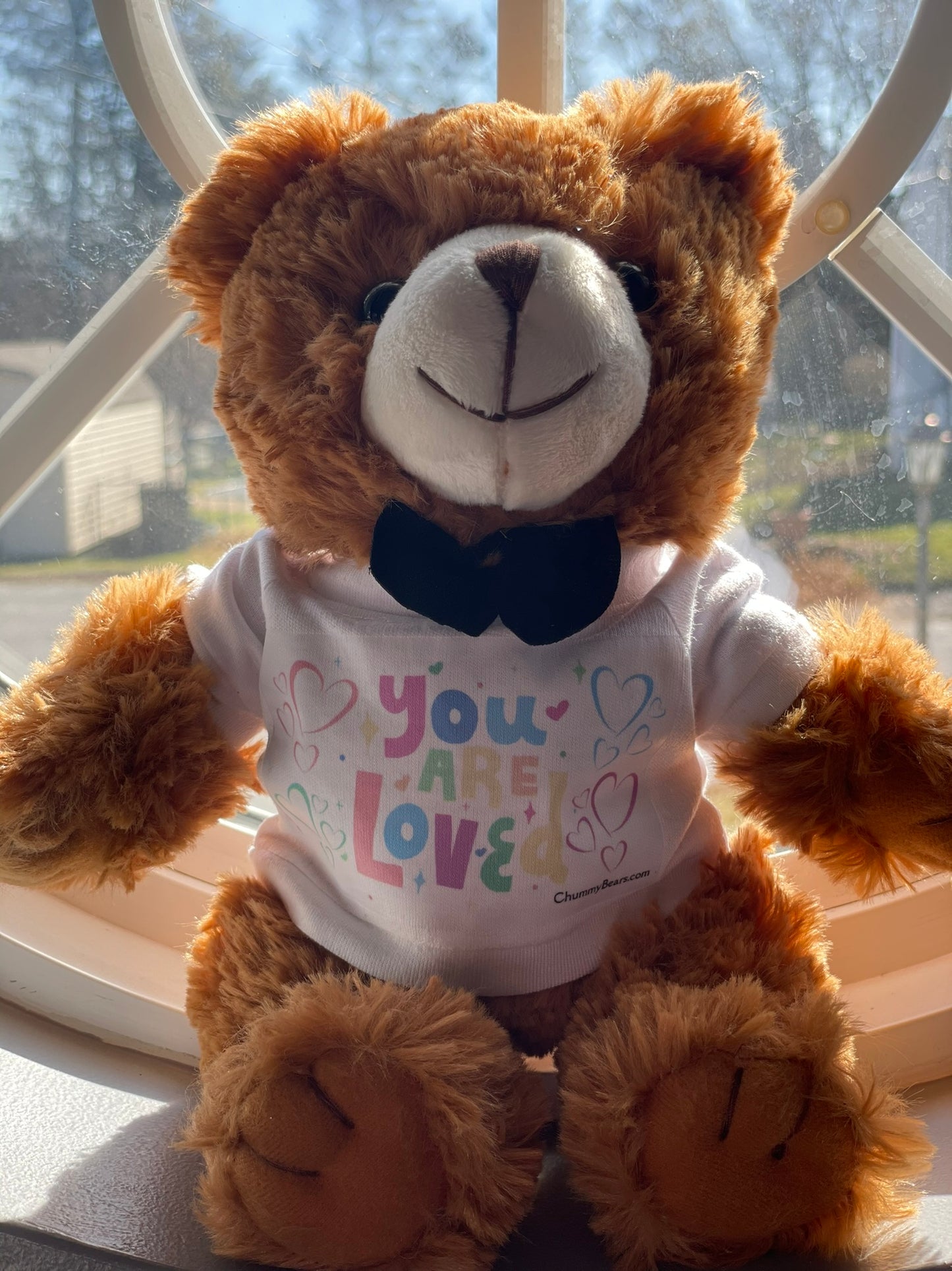 You Are Loved! Our Original Chummy Bear!